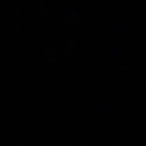 Meet your Posher, Victor